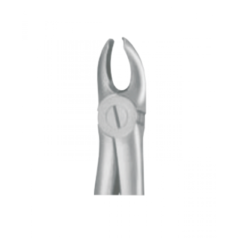 waldent-tooth-extraction-forceps-lower-molars-no-22-1-122-at-rs-759